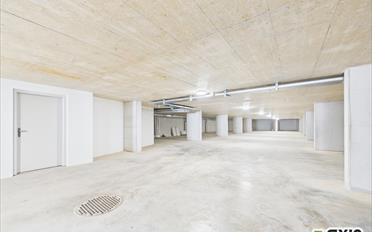 Wohnung 3.5 Zimmer - image - 6