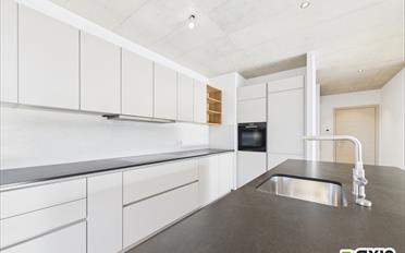 Wohnung 3.5 Zimmer - image - 3