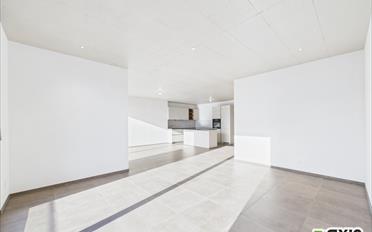 Attikawohnung 3.5 Zimmer - image - 5