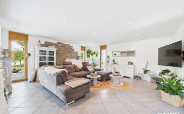 Villa 6.5 Zimmer - image - 5