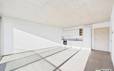 Wohnung 2.5 Zimmer - image - 1