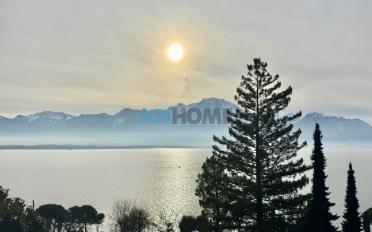 Wohnung 3.5 Zimmer - image - 1