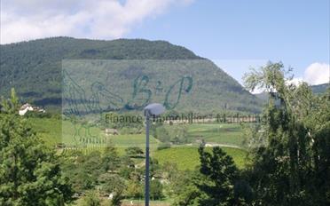 Wohnung 4.5 Zimmer - image - 2