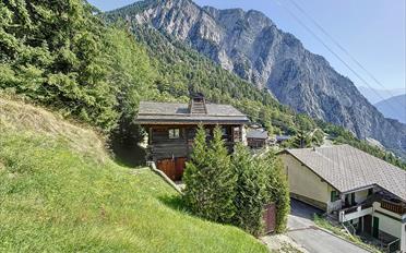 Chalet 6 pièces - image - 3