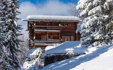 Chalet 6 Zimmer - image - 1