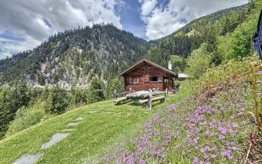 Chalet 3 rooms - image - 1