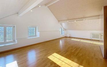 Einfamilienhaus 8.5 Zimmer - image - 8
