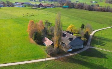 Bauernhaus 10 Zimmer - image - 11