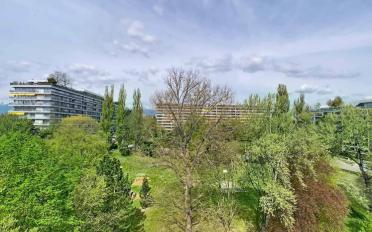 Wohnung 7 Zimmer - image - 12