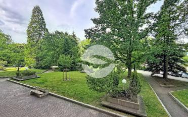 Wohnung 4 Zimmer - image - 6