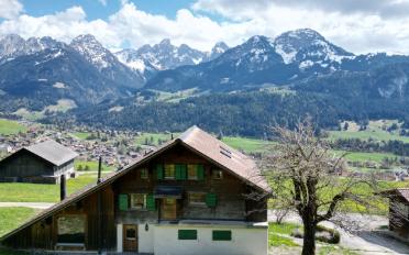 Chalet 9 rooms - image - 2