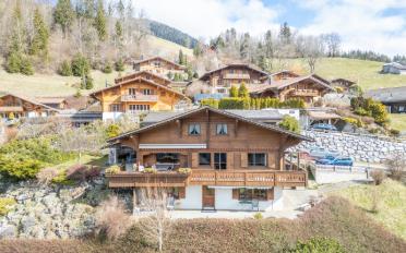 Chalet 9.5 rooms - image - 1
