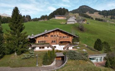 Chalet 9 rooms - image - 2