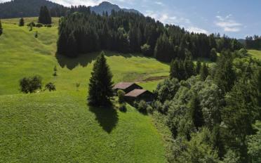 Chalet 6 Zimmer - image - 10