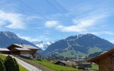 Chalet 10 Zimmer - image - 6