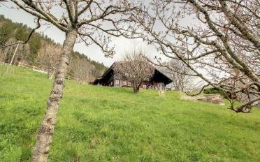 Chalet 5.5 Zimmer - image - 6