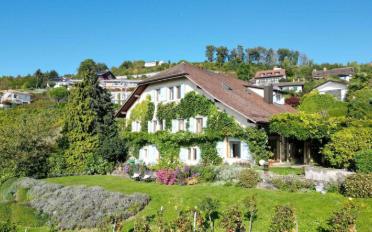 Villa 10.5 Zimmer - image - 12