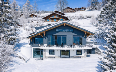 Chalet 9.5 pièces - image - 1