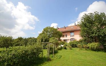 Maison 15 pièces - image - 9