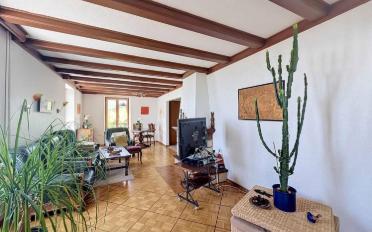 Villa 10 Zimmer - image - 4