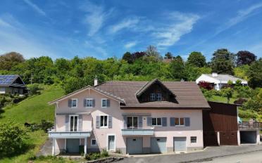 Villa 10 Zimmer - image - 1