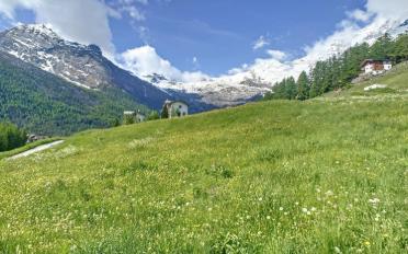 Bauland - image - 6
