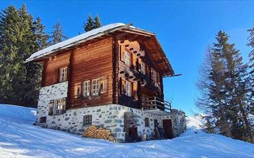 Chalet 8 pièces - image - 1