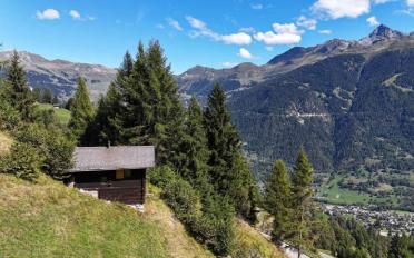 Chalet 3.5 Zimmer - image - 2