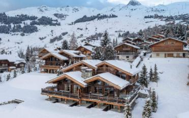 Chalet 7 pièces - image - 2
