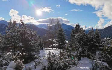 Chalet 5 Zimmer - image - 1