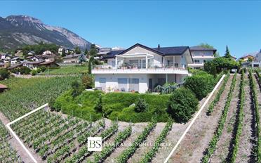 Villa 6 Zimmer - image - 1