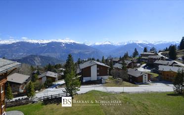 Duplex 5.5 Zimmer - image - 4