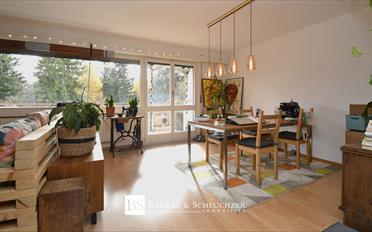 Wohnung 2.5 Zimmer - image - 2