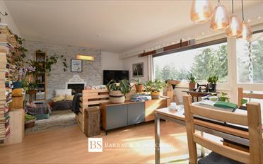 Wohnung 2.5 Zimmer - image - 1