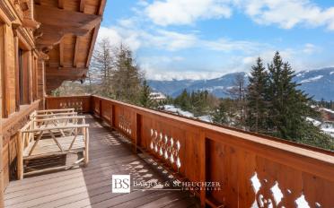 Chalet 10 pièces - image - 2