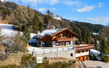 Chalet 10 pièces - image - 1