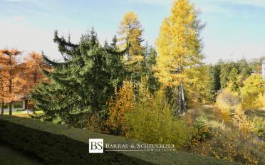 Apartment 3.5 rooms - image - 13