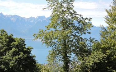 Maison 7 pièces - image - 5