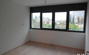 Duplex - image - 14