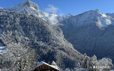 Chalet 14 pièces - image - 3