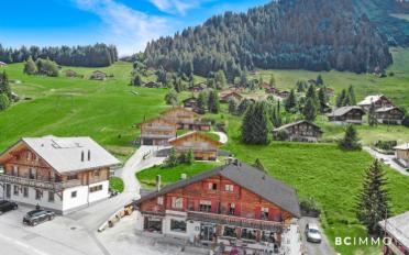 Mixed use property 11 rooms - image - 2