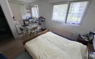 Wohnung ein Zimmer - image - 2