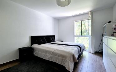 Appartement 3.5 pièces - image - 3