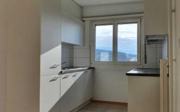 Wohnung 3.5 Zimmer - image - 2