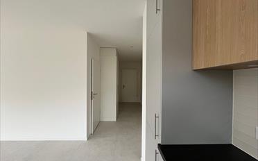 Wohnung 2.5 Zimmer - image - 6