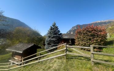 Chalet 3.5 pièces - image - 1