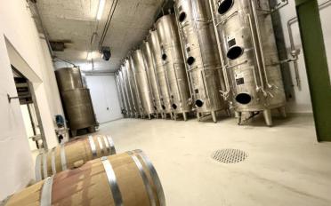 Immeuble mixte 10 pièces - image - 1