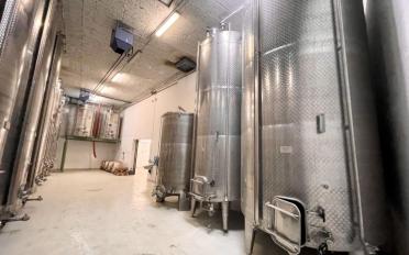 Immeuble mixte 10 pièces - image - 9