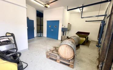 Immeuble mixte 10 pièces - image - 11