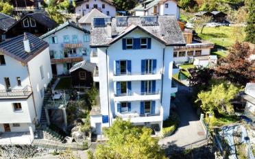 Immeuble mixte 12.5 pièces - image - 2